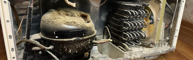 How To Clean Refrigerator Condenser Coils (And How Often You Should)