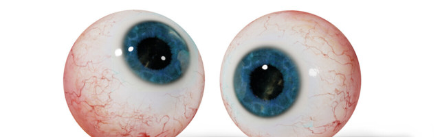 What’s the difference between human eyes and computer vision?