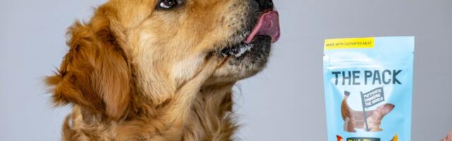 World’s first lab-grown meat for pets goes on sale