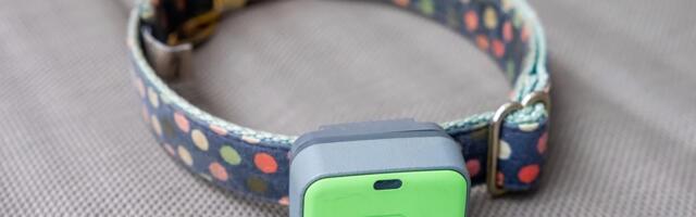 Whistle pet trackers are shutting down next month
