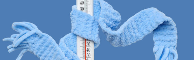 The One Thing HVAC Experts Say To Never Skip Before A Freeze