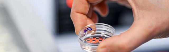 The Alabama Supreme Court opinion holding that embryos are children, explained