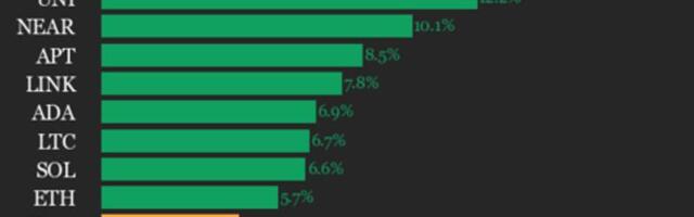 CoinDesk 20 performance update: Polkadot (DOT) surges 17.2% as all assets rise