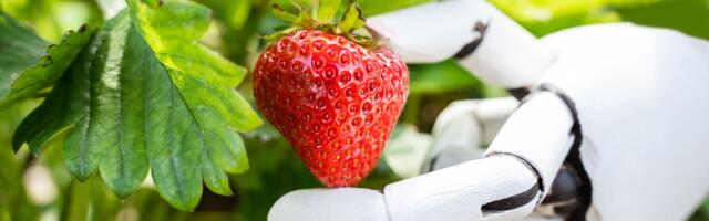 ChatGPT just announced it can finally pass the simple ‘how many “r”s in strawberry’ test, but users are still tripping it up by switching to ‘cranberry’