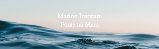 Students Are Invited to Apply for the Marine Institute’s Bursary Scholarship Programme