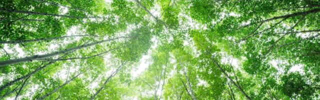 Elbow Beach to back three dozen green startups with £80m climate fund 