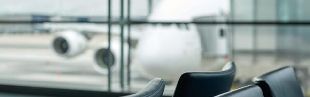 U.S. Allies Add Warnings for Travel to America