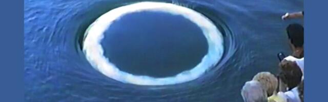 What Whale Bubbles Can Teach Us About Alien Communication