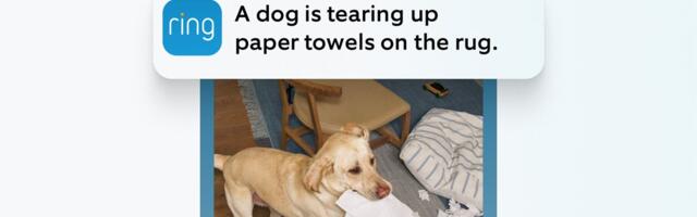 Your Ring camera is about to get smarter with Single Event Alert – and it should mean fewer notifications