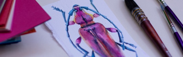 Forget unicorns, here’s why the cockroach matters