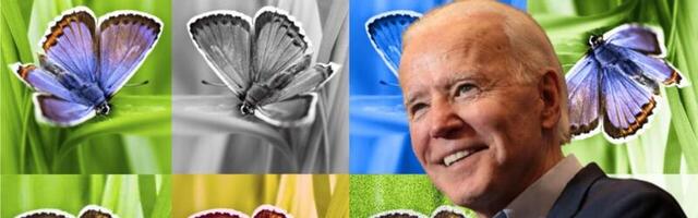 Google DeepMind unveils AI watermarking tool as political pressure mounts