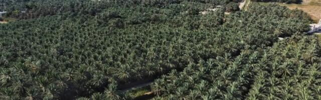 Hilton’s Most Luxurious Brand Announces ‘Agritourism Resort’