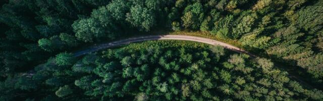 Ontario nurtures forest-based innovation accelerator CRIBE with $5-million investment