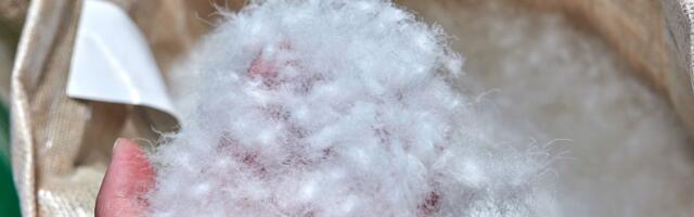 What Is Down Fill Power (2026): Fill Weight, Synthetics