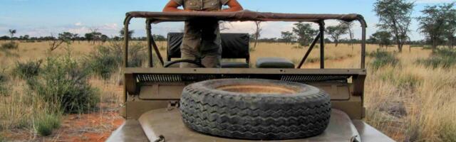 I took a gap year to travel the world between high school and college. Time abroad helped me be more prepared for college life.