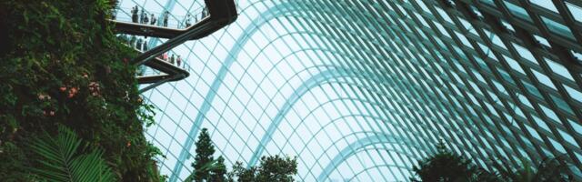 New Report: Accelerating Sustainability in Travel and Tourism