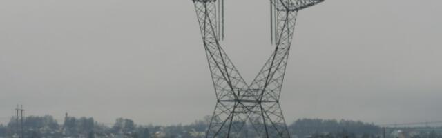 Белый раст. Сердце Московского энергетического кольца