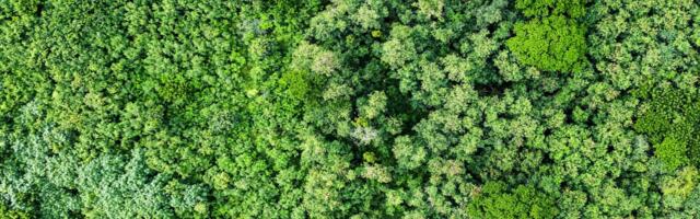 Government unveils £3.75m funding for AI decarbonisation projects