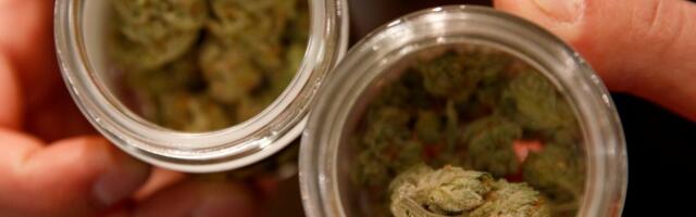 Santa Cruz County give cannabis lounges the green light