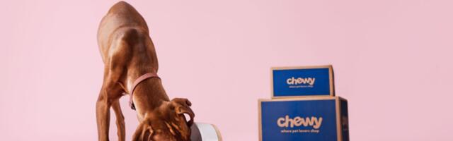 Chewy is handing out free $30 gift cards — heres how to get yours