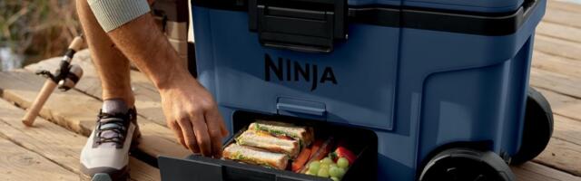 How Well Does The Ninja FrostVault Cooler With A Dry Zone Work? (According To Users)