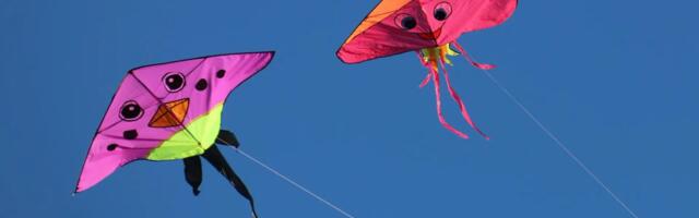 AI Payments Startup Kite Debuts Token With $263M Trading Volume in First Two Hours