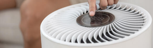 These Air Purifier Brands Earned Consumer Reports' Top-Ranked Spots
