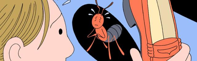 Should you feel guilty for killing the bugs in your house?