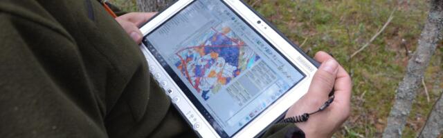 Finnish forestry platform CollectiveCrunch raises €1.4 million, setting its roots in the forest carbon market