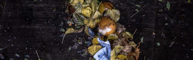 Meet the startup fighting to erase hunger with AI