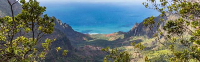 Hawaii hikers report exploding guts as norovirus outbreak hits famous trail