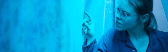 Can flies feed the world? This Finnish BioTech startup thinks so—and just raised €26 million to prove it