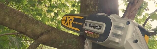 Is DeWalt's Pole Saw Tree Trimmer Any Good? Here's What Users Say