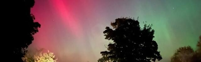 From Malin to Mizen Head: Public Urged to Help Create the Largest Archive of Photos of the Northern Lights