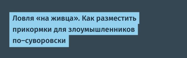 Ловля «на живца». Как разместить прикормки для злоумышленников по-суворовски