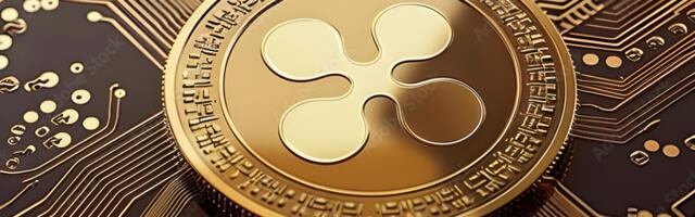 Crypto: Serious & Silly in 2024