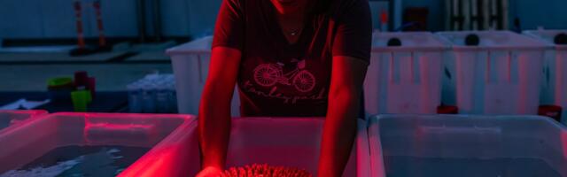 An exclusive look inside the largest effort ever mounted to keep the Great Barrier Reef alive