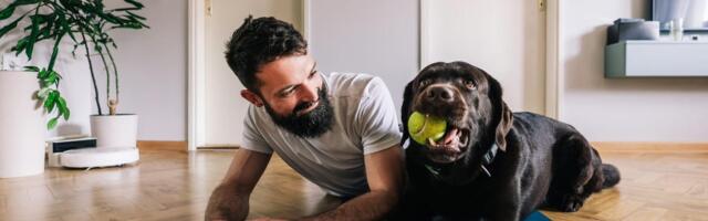 8 Tricks CNET Editors Use to Help With Common Pet Problems