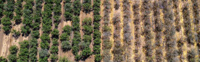 Can desalination quench agriculture’s thirst?