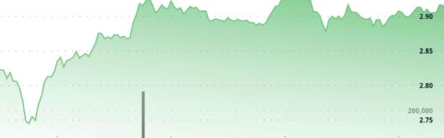 TON Up 3% After Volatile Session, Establishing New Support Level