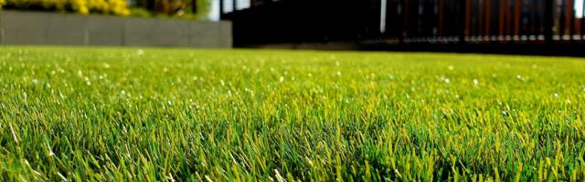 Here’s How To Start A Lawn Care Business: 6 Easy Steps