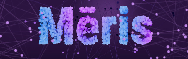 Mēris botnet, climbing to the record