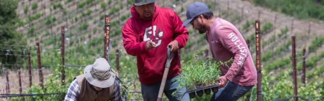 House Family Vineyards gets second extension on temporary operations