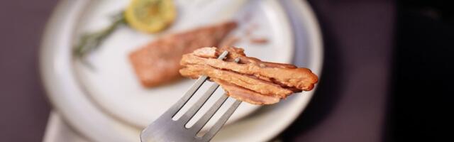 Revo Foods & Paleo score new funding for imitation vegan salmon