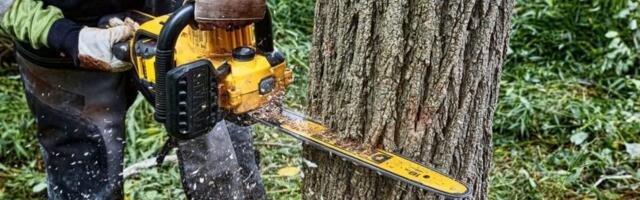 DeWalt 20V MAX XR Vs. 60V MAX Chainsaw: Which Cutting Tool Is More Suitable For Your Lawn And Garden?