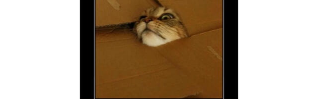 Байки из ЦОДа-3: план с «газелькой», испытание оттепелью и неожиданные соседи