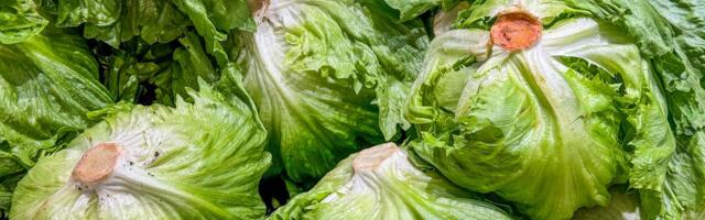 The cyclospora outbreak lawsuits have begun