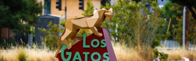 New cat sculpture added to public art series in Los Gatos