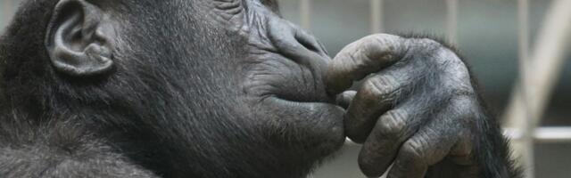 I spent my thirties thinking exhaustion was the price of ambition. Then I turned forty and realized it was the price of never once asking myself what I actually wanted versus what I was performing for other people.