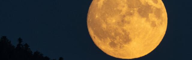 July Full Moon 2026: See the Buck Moon